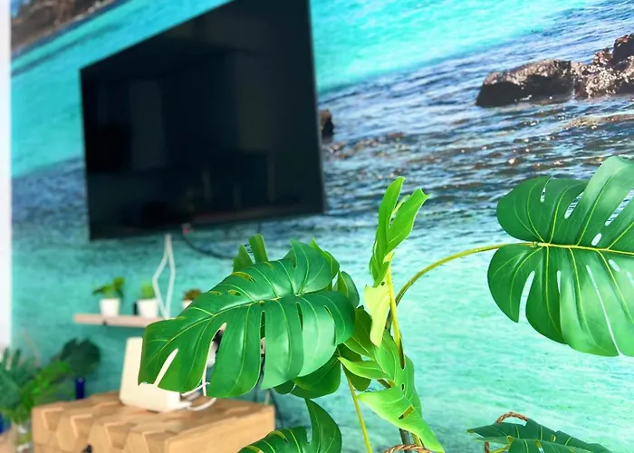 Sea View * 科拉雷侯